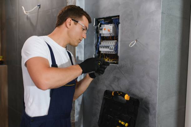 Best Outdoor Lighting Installation  in Lutz, FL
