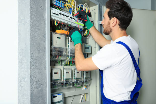 Best Affordable Electrician  in Lutz, FL