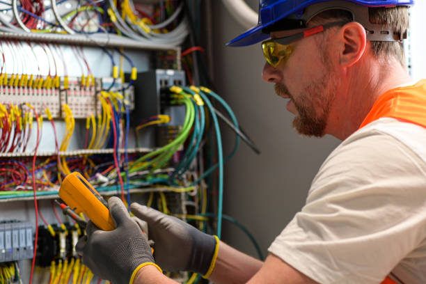 Best Electrical Troubleshooting Services  in Lutz, FL