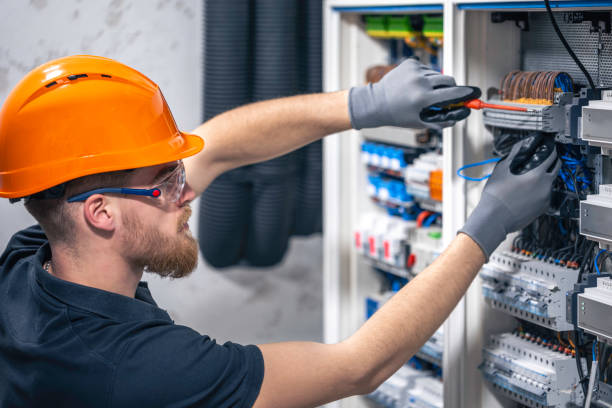 Best Local Electrician Companies  in Lutz, FL